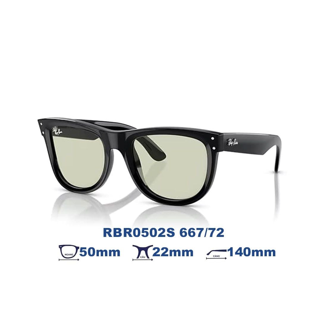  Kính mát RAYBAN RBR0502S 667/72 