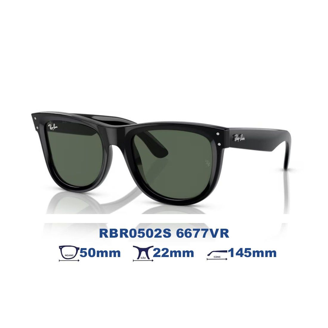  Kính mát RAYBAN RBR0502S 6677VR 