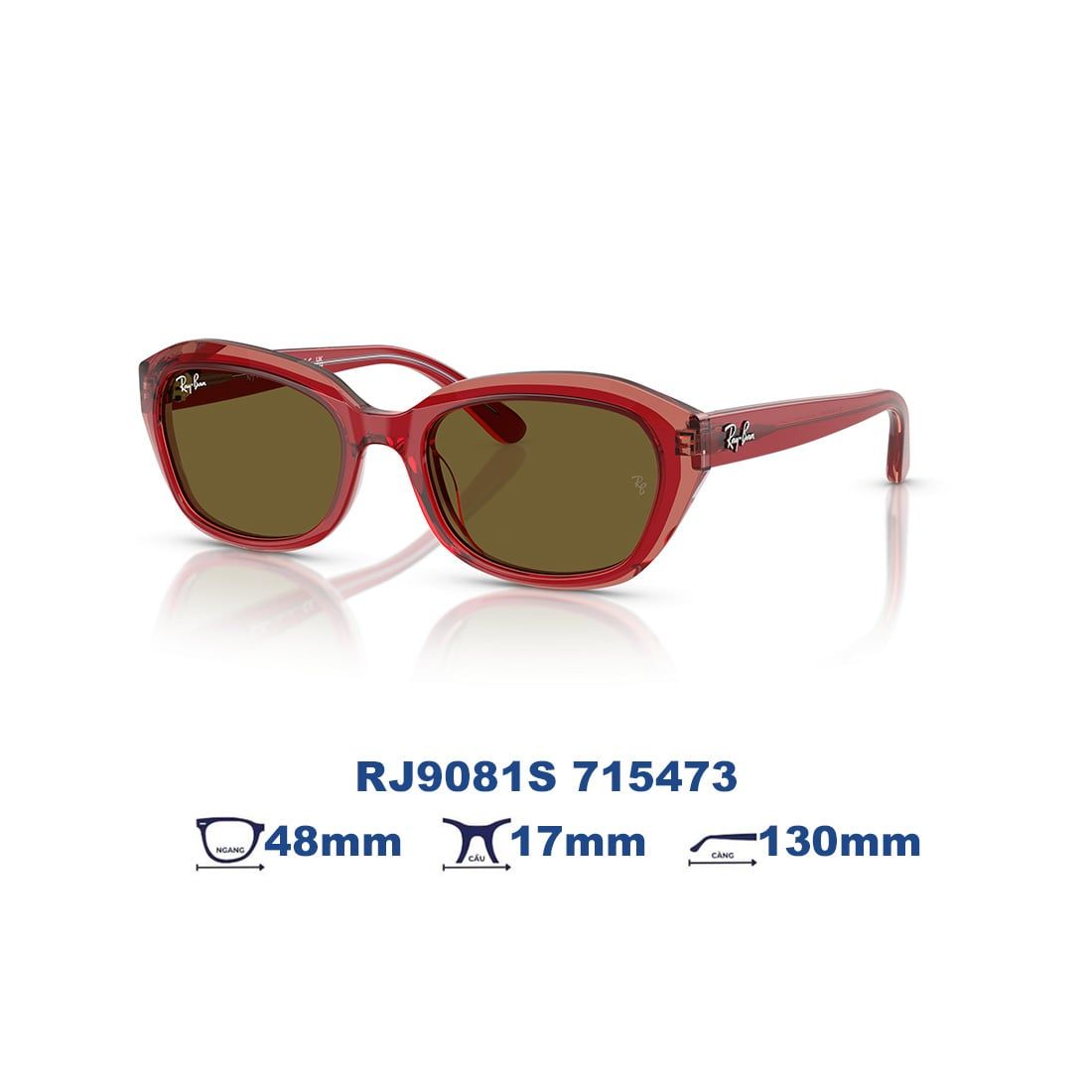  Kính mát RAYBAN KID RJ9081S 715473 