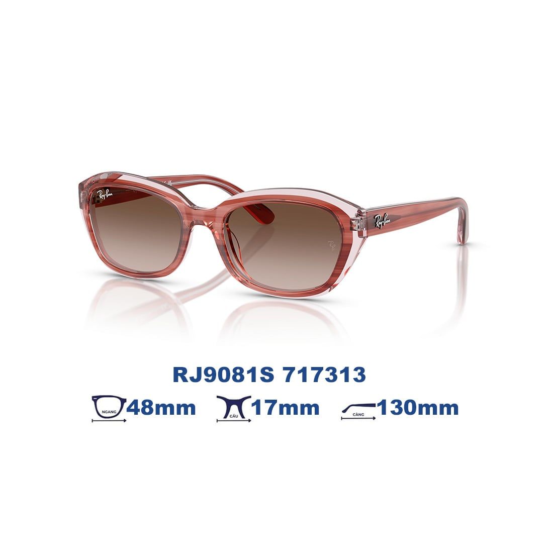  Kính mát RAYBAN KID RJ9081S 717313 