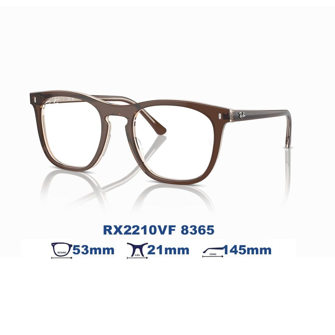  Gọng kính RAYBAN RX2210VF 8365 
