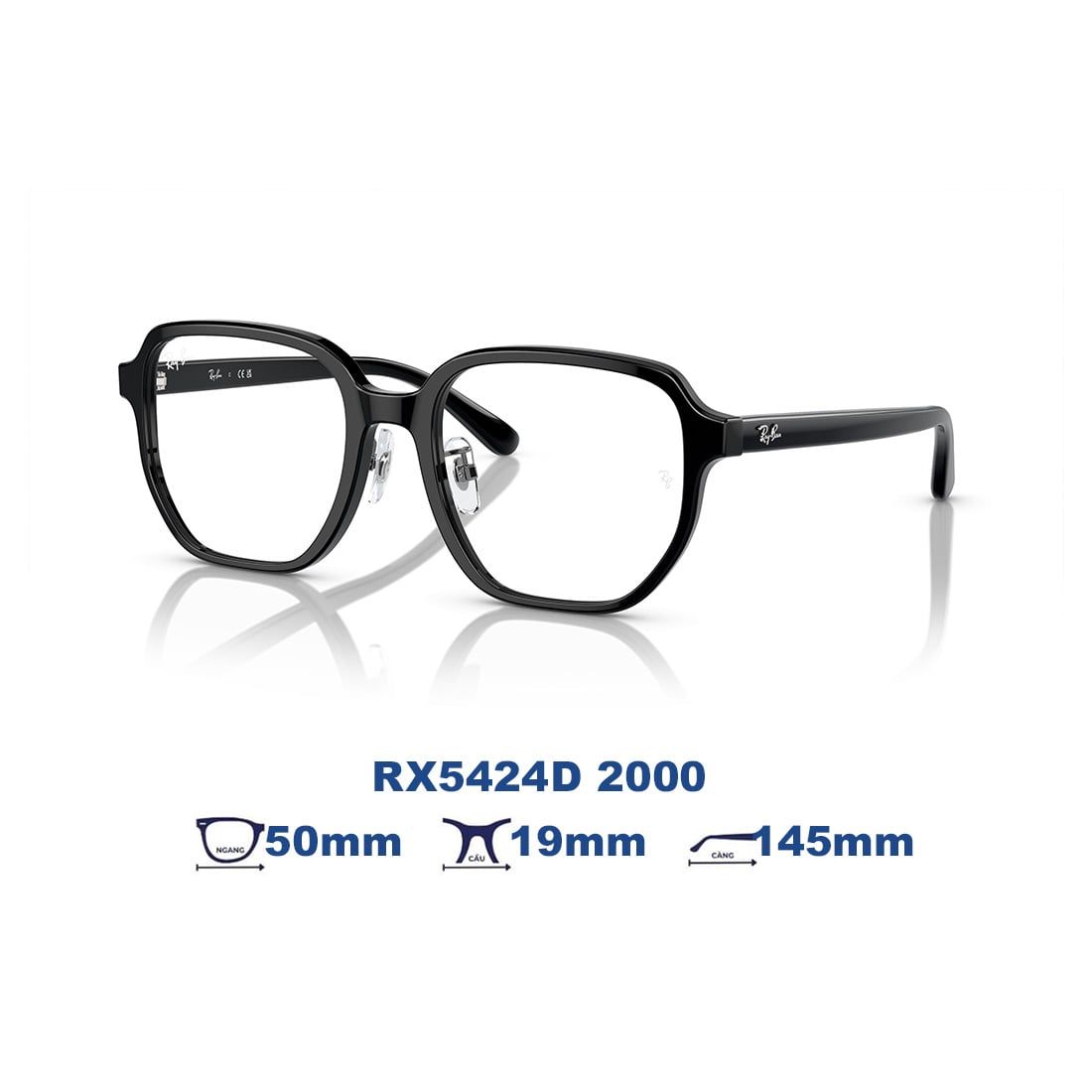  Gọng kính RAYBAN RX5424D 2000 