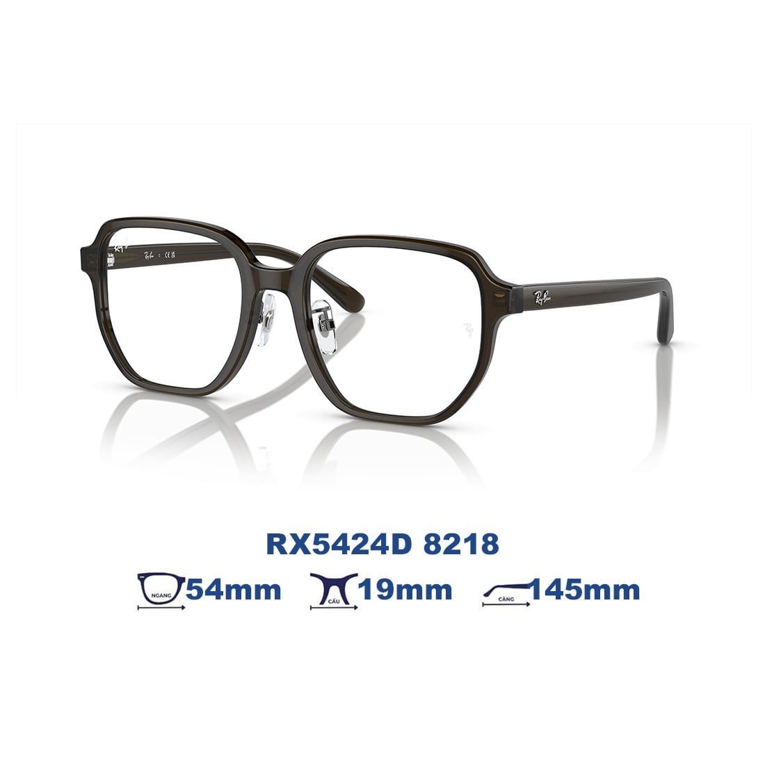  Gọng kính RAYBAN RX5424D 8218 