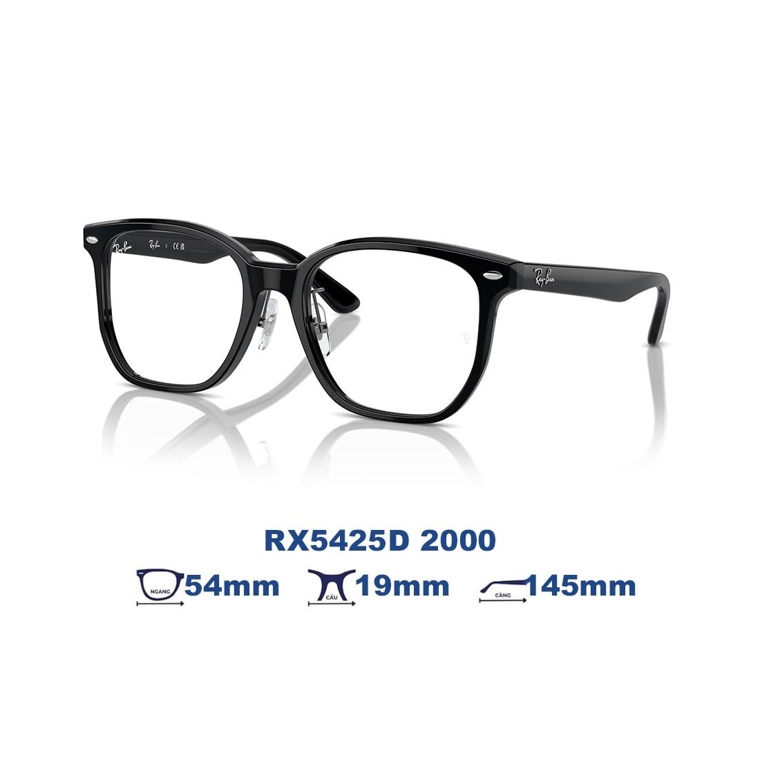  Gọng kính RAYBAN RX5425D 2000 