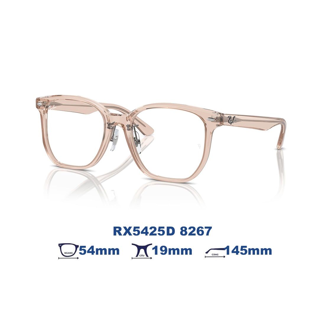  Gọng kính RAYBAN RX5425D 8267 