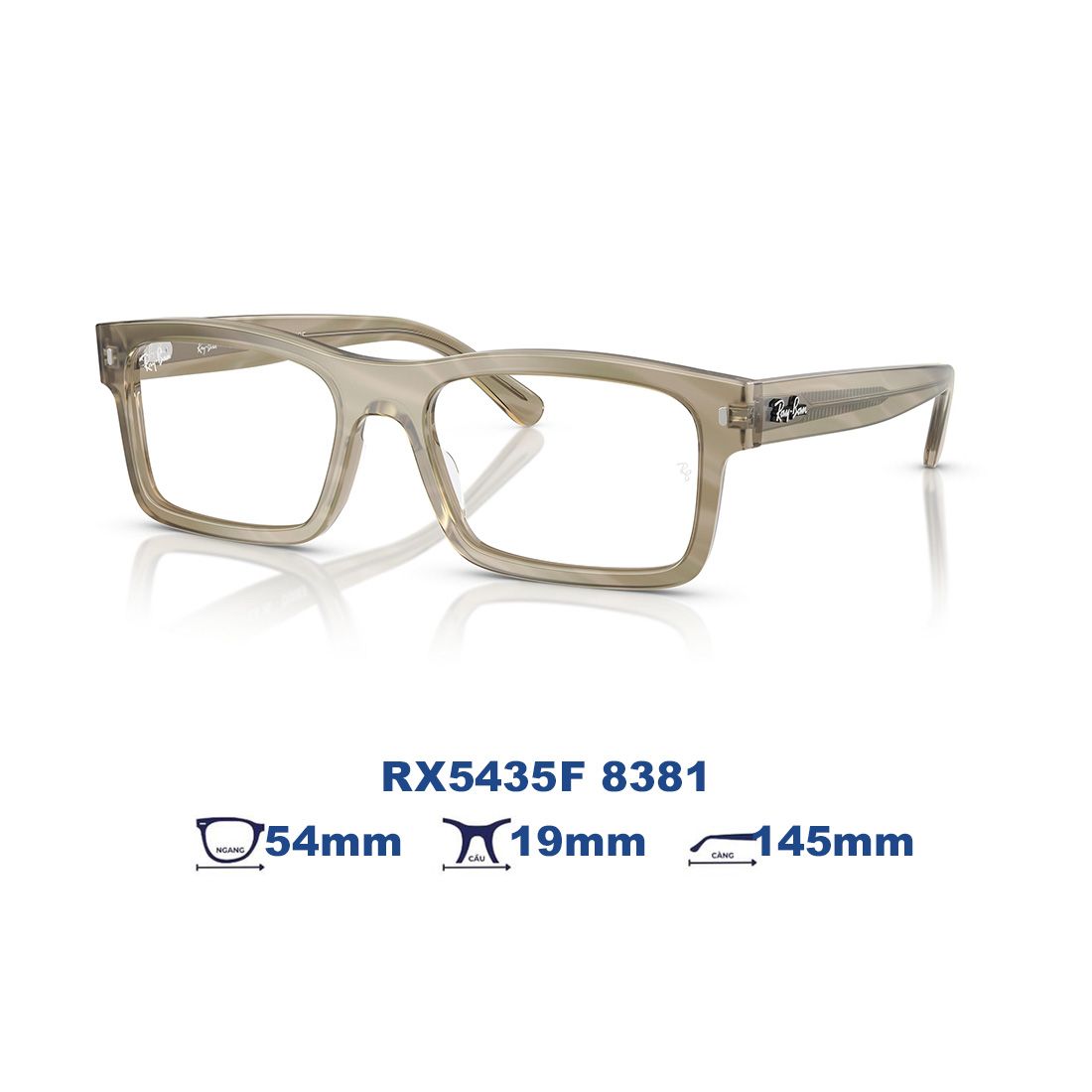  Gọng kính RAYBAN RX5435F 8381 