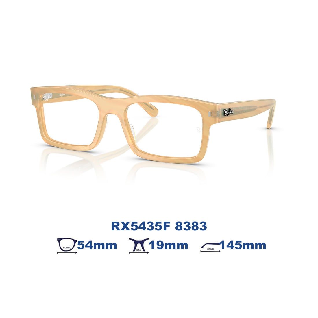  Gọng kính RAYBAN RX5435F 8383 