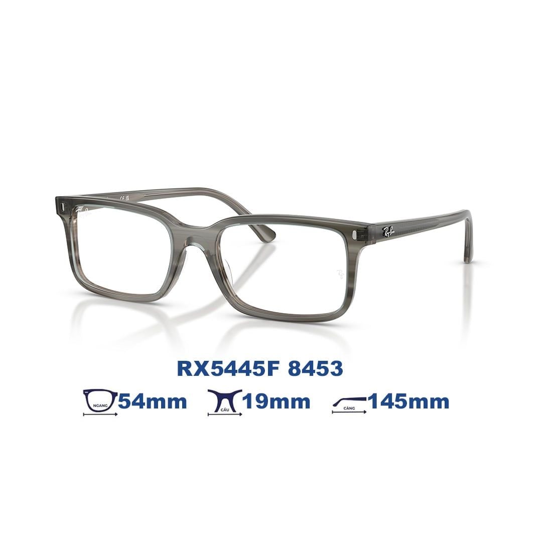  Gọng kính RAYBAN RX5445F 8453 
