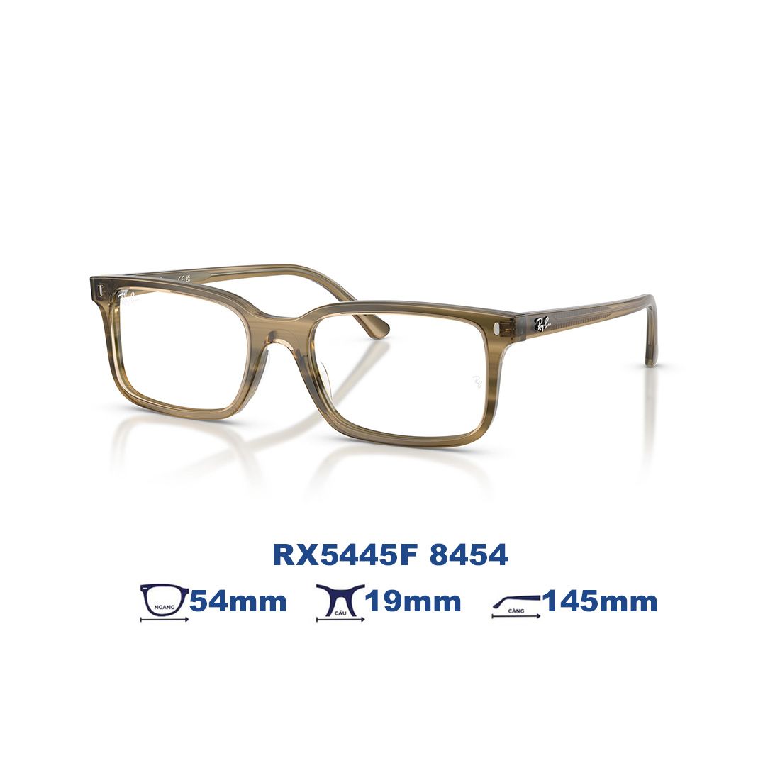  Gọng kính RAYBAN RX5445F 8454 
