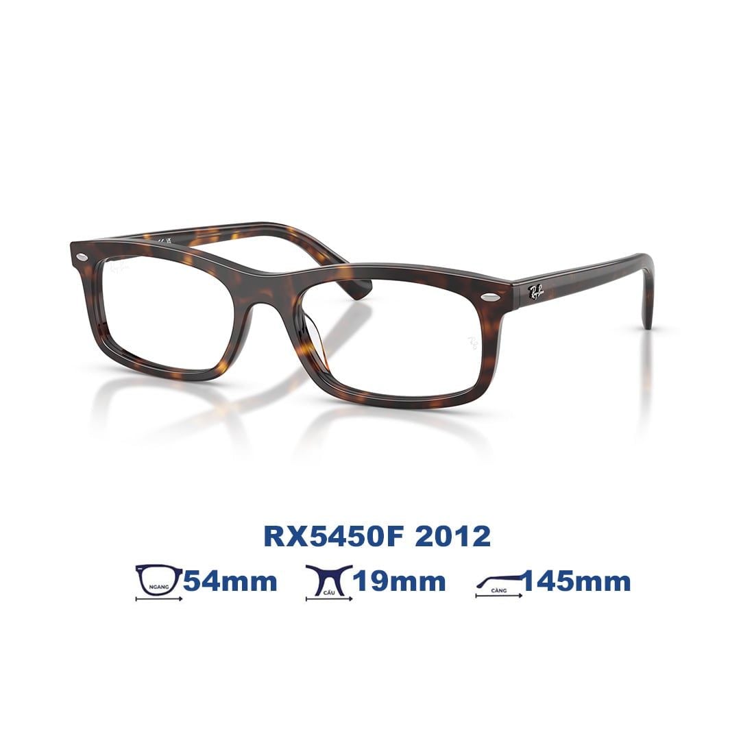 Gọng kính RAYBAN RX5450F 2012