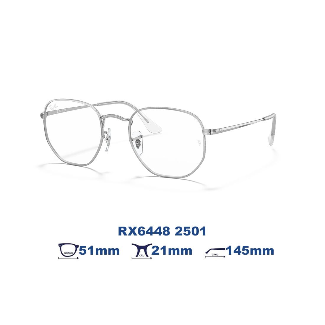  Gọng kính RAYBAN RX6448 2501 