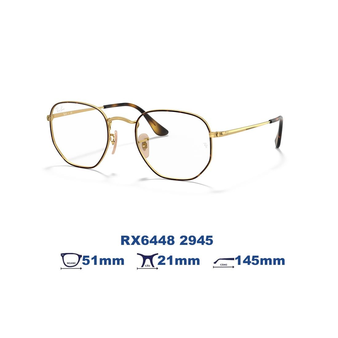  Gọng kính RAYBAN RX6448 2945 