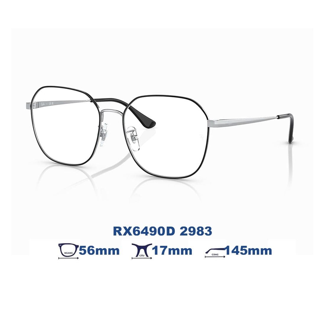  Gọng kính RAYBAN RX6490D 2983 