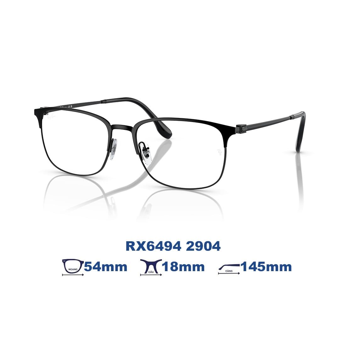  Gọng kính RAYBAN RX6494 2904 