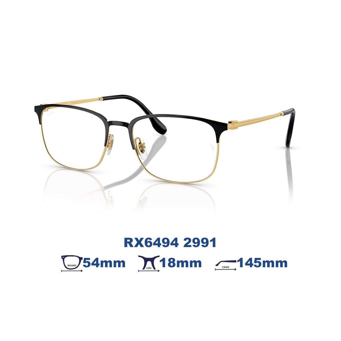  Gọng kính RAYBAN RX6494 2991 