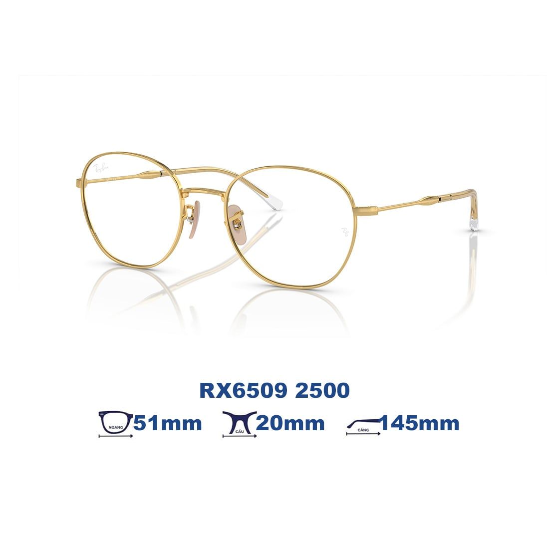  Gọng kính RAYBAN RX6509 2500 