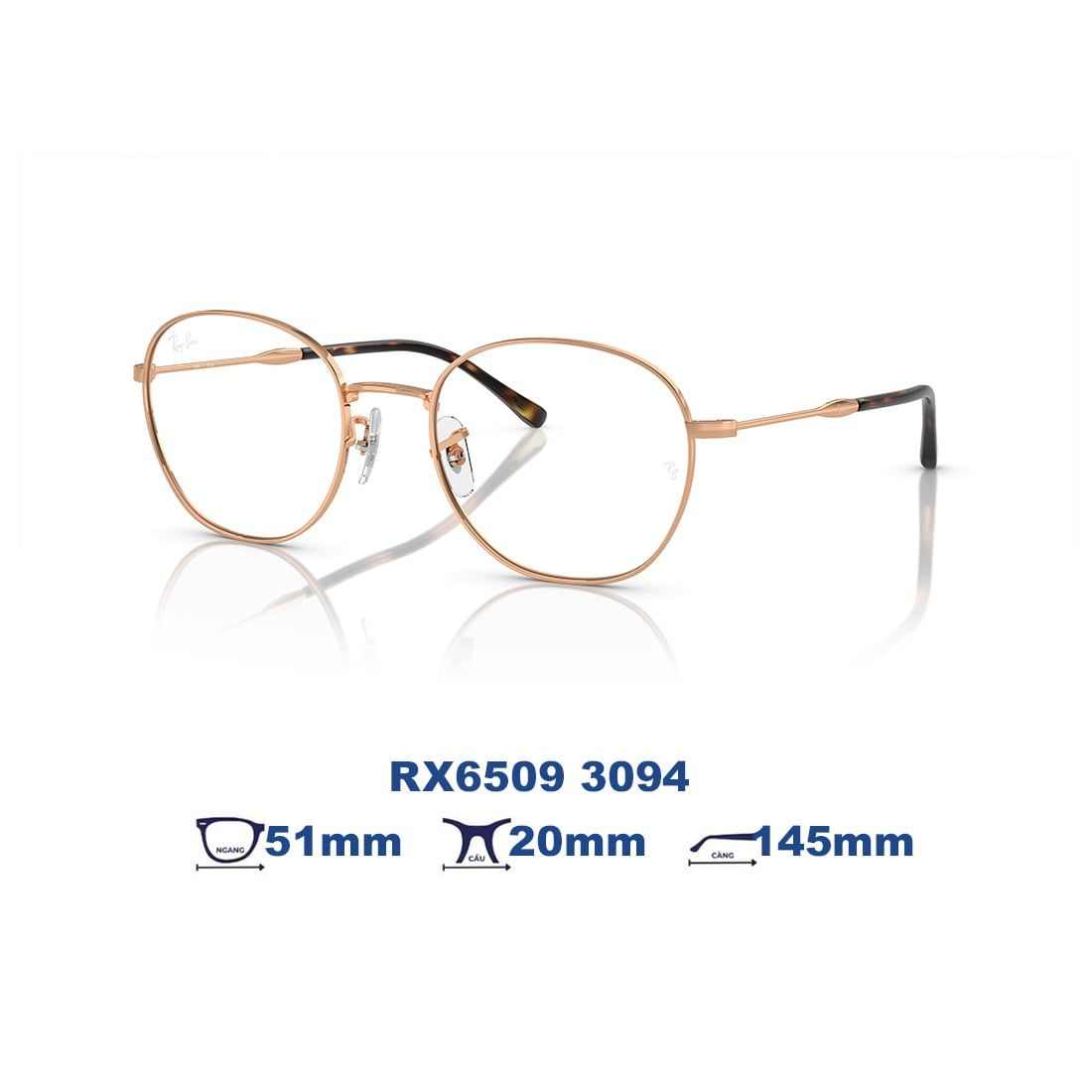  Gọng kính RAYBAN RX6509 3094 