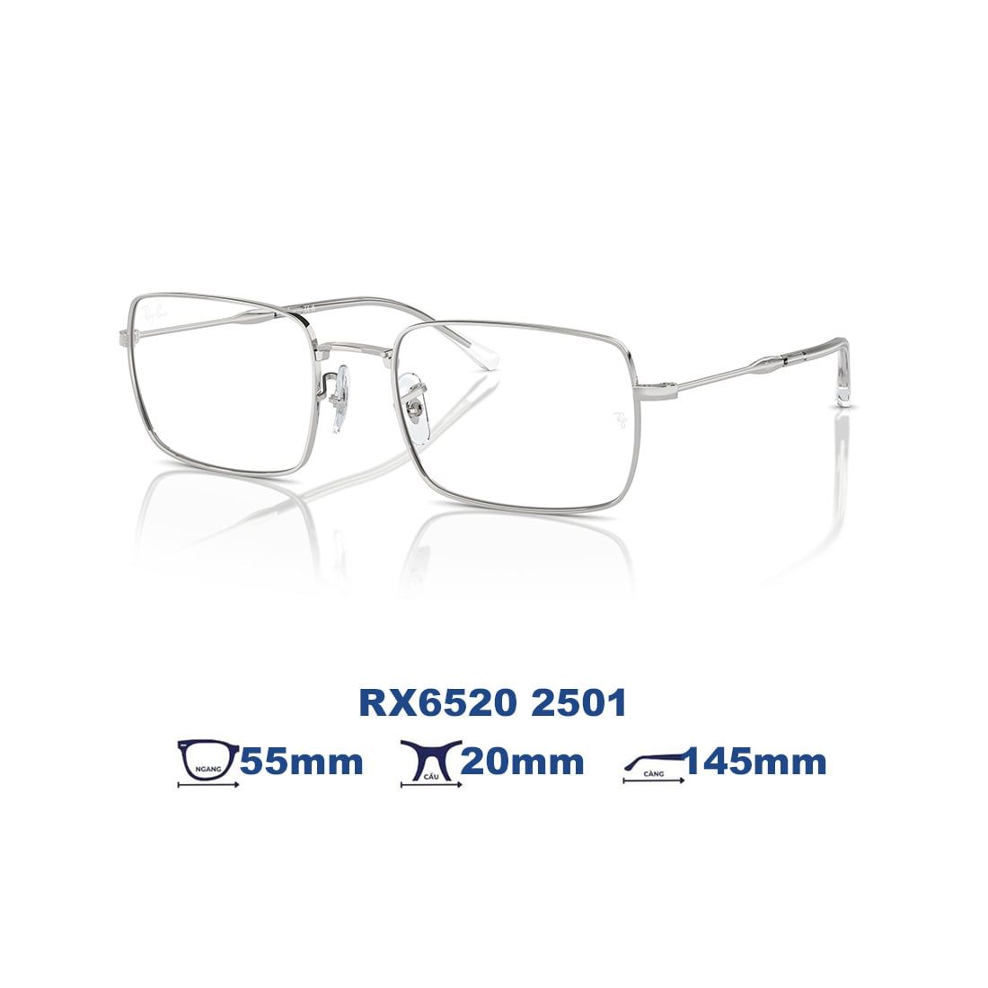  Gọng kính RAYBAN RX6520 2501 
