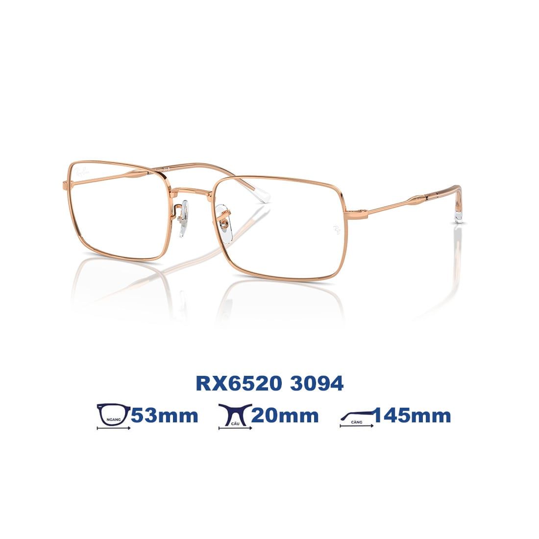  Gọng kính RAYBAN RX6520 3094 