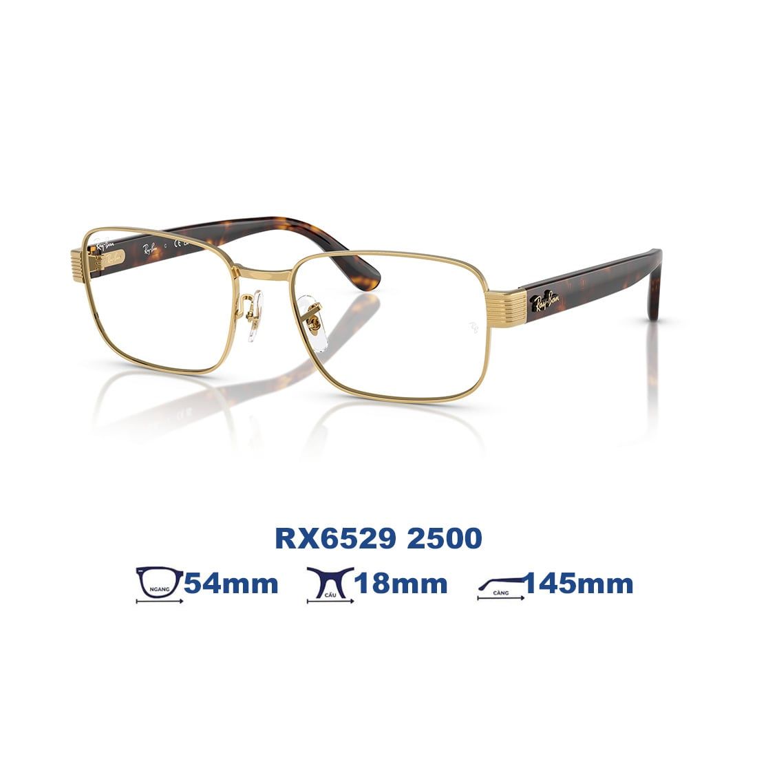  Gọng kính RAYBAN RX6529 2500 