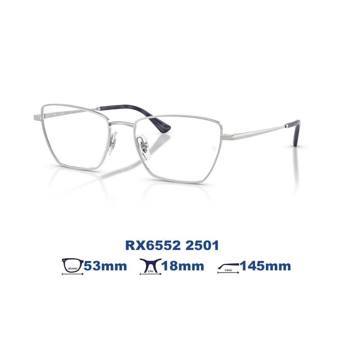  Gọng kính RAYBAN RX6552 2501 