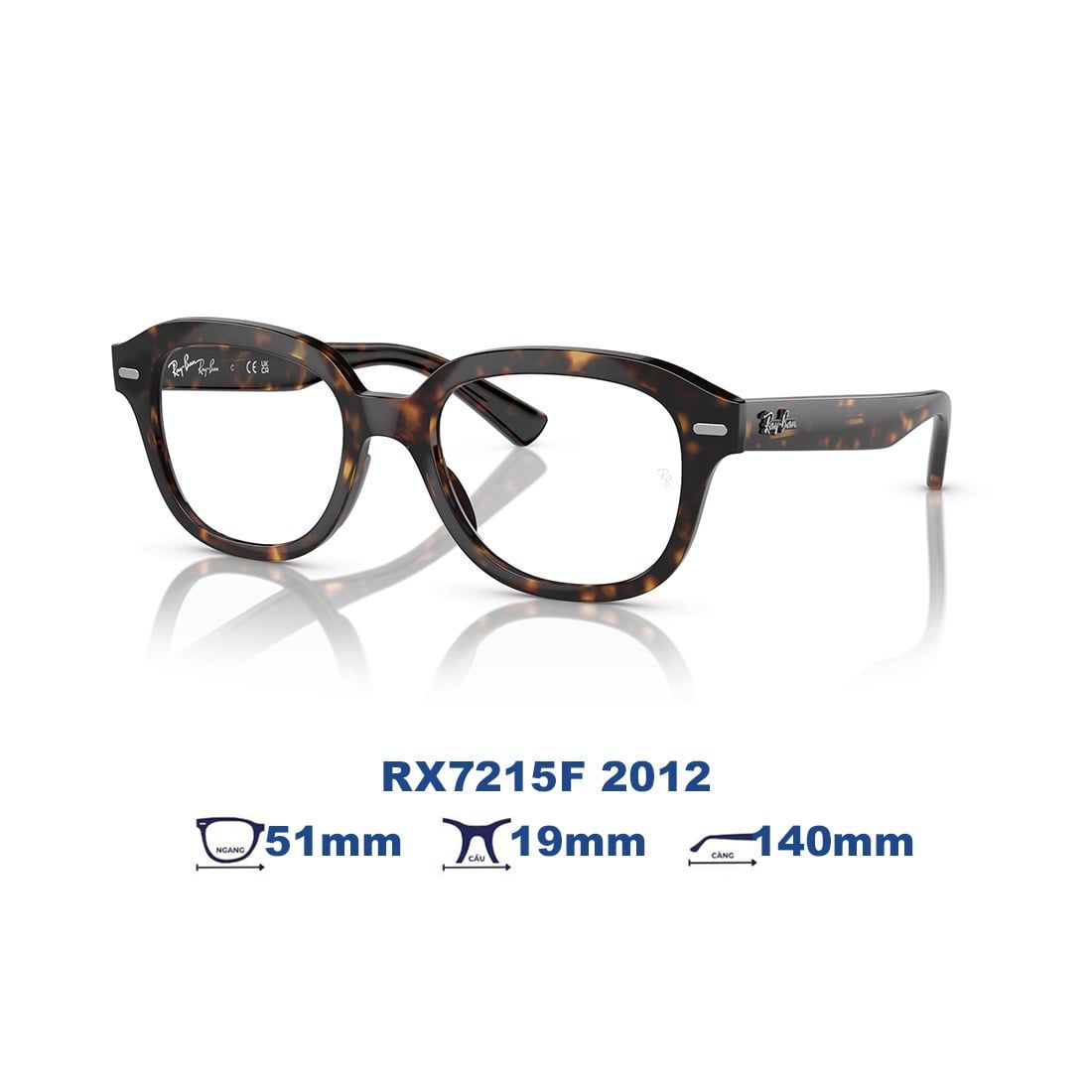  Gọng kính RAYBAN RX7215F 2012 