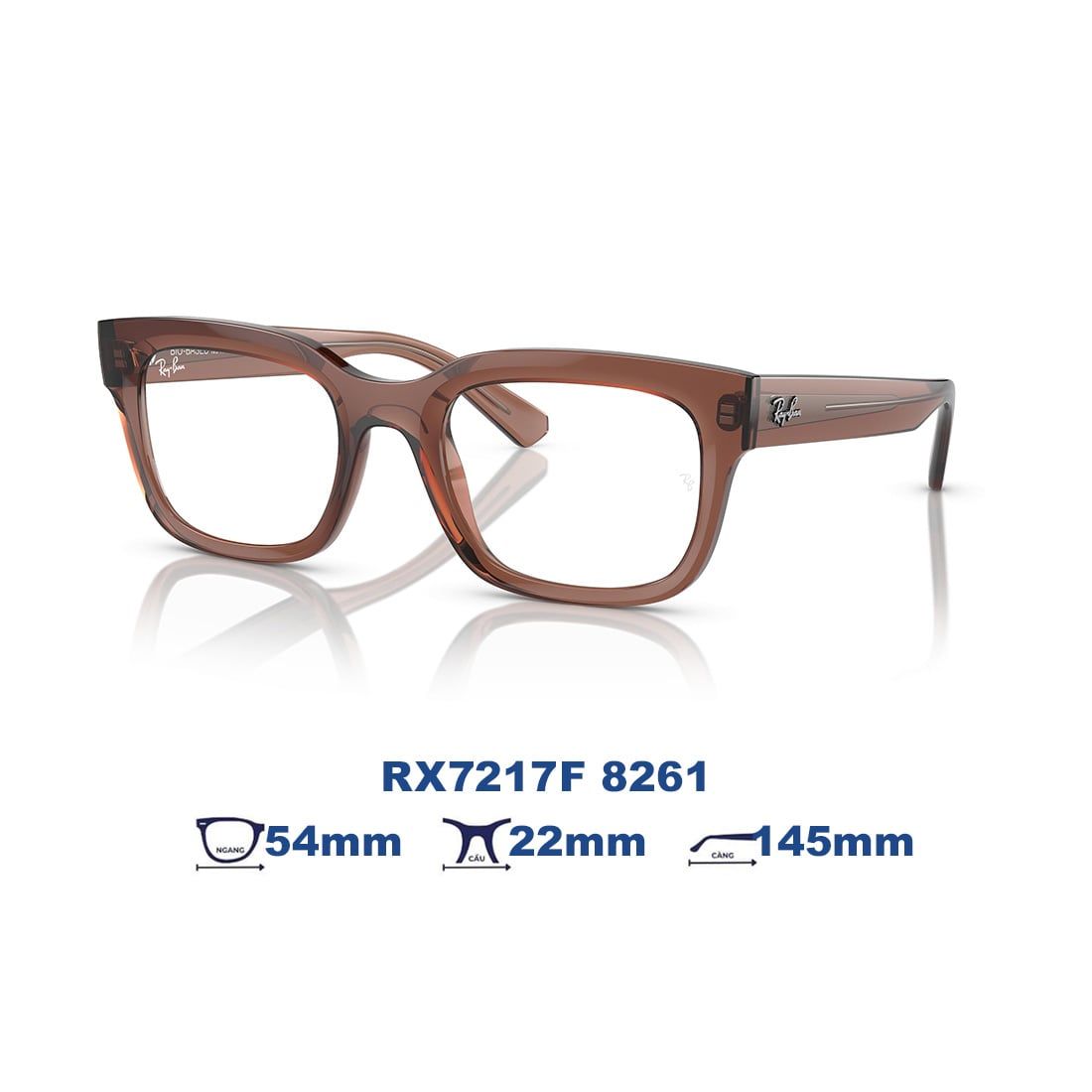  Gọng kính RAYBAN RX7217F 8261 