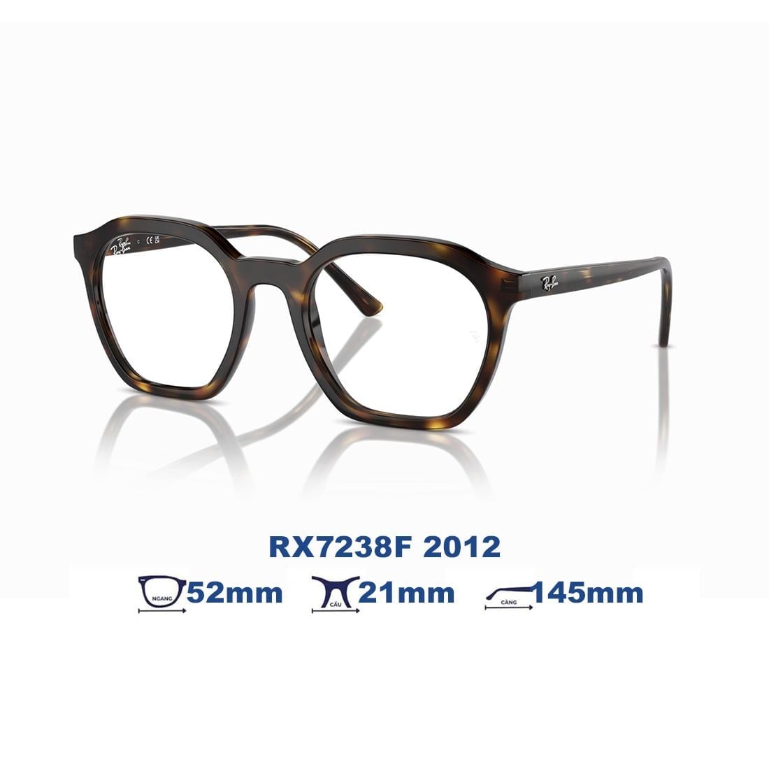  Gọng kính RAYBAN RX7238F 2012 