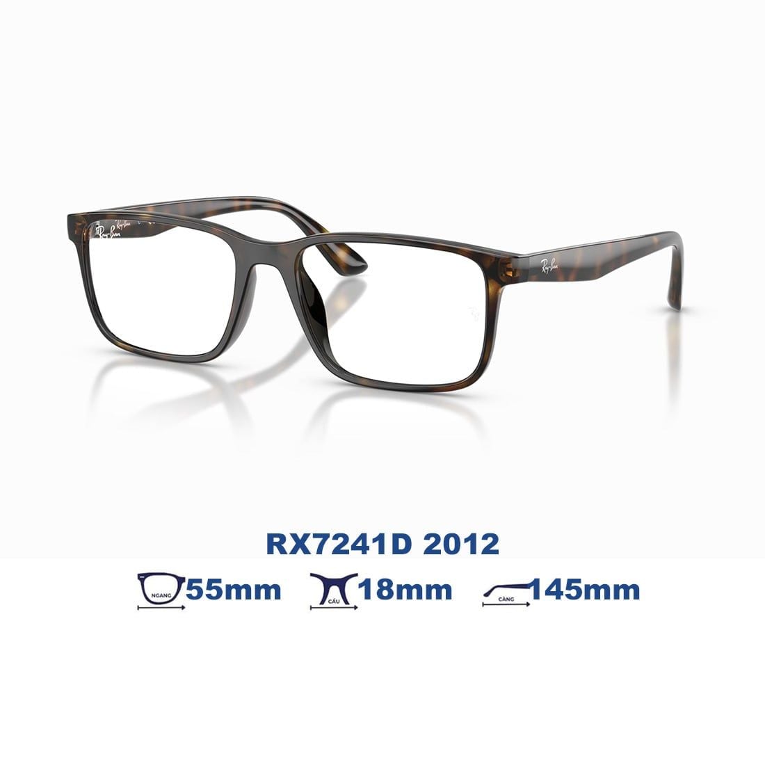  Gọng kính RAYBAN RX7241D 2012 