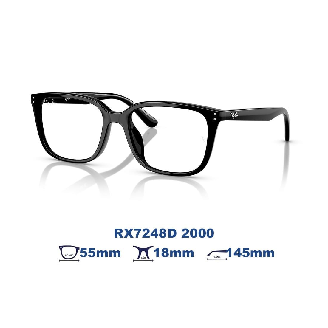  Gọng kính RAYBAN RX7248D 2000 