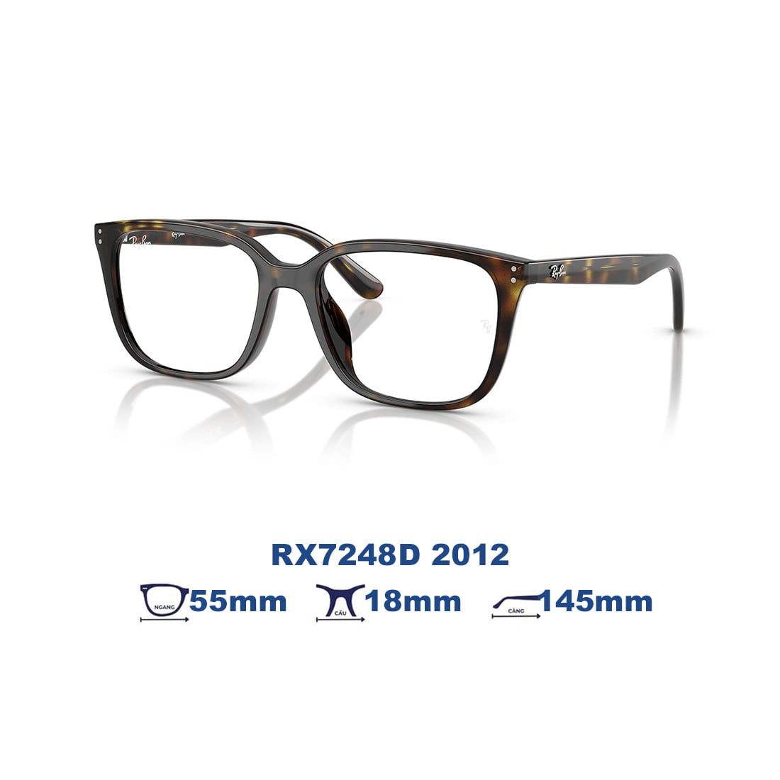  Gọng kính RAYBAN RX7248D 2012 