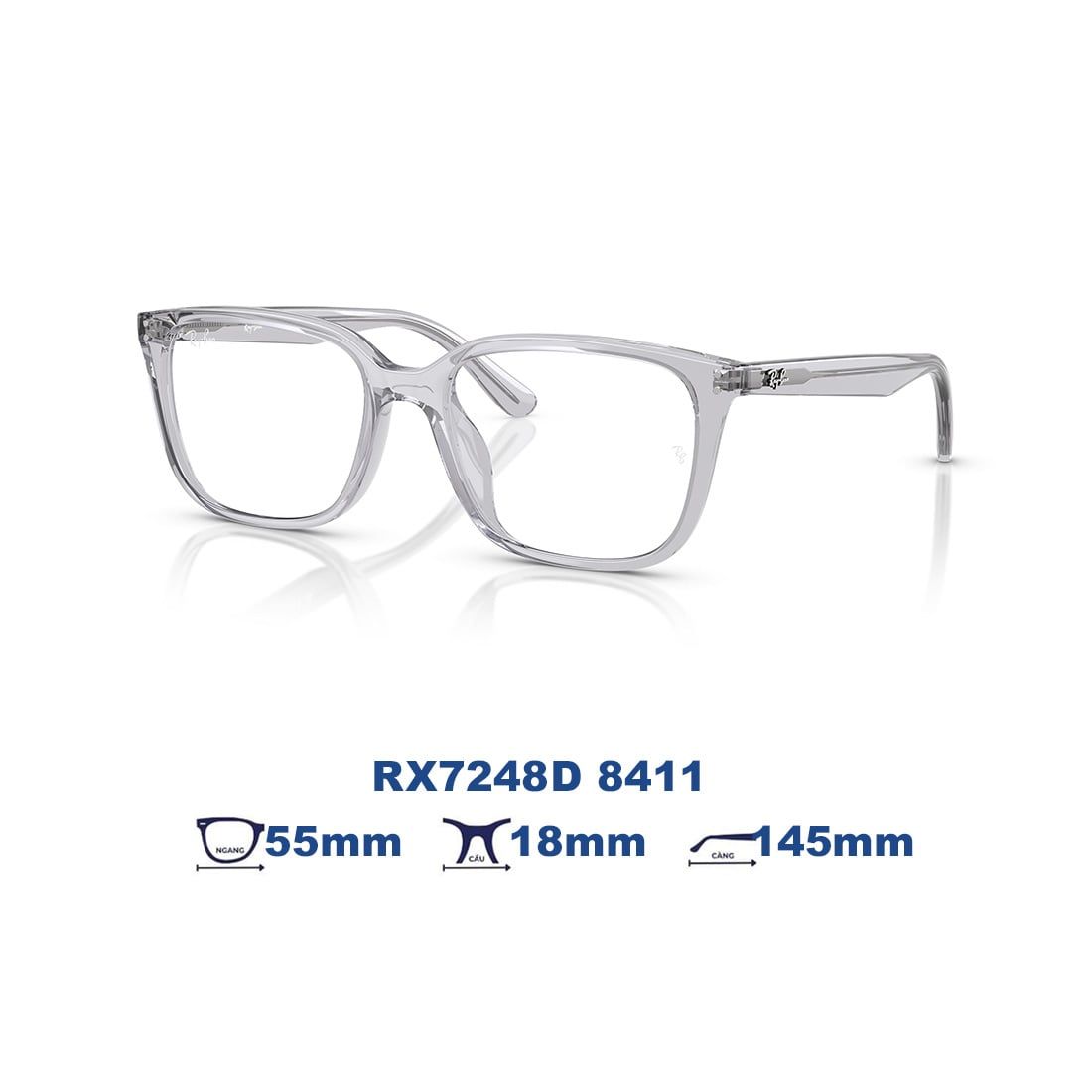  Gọng kính RAYBAN RX7248D 8411 