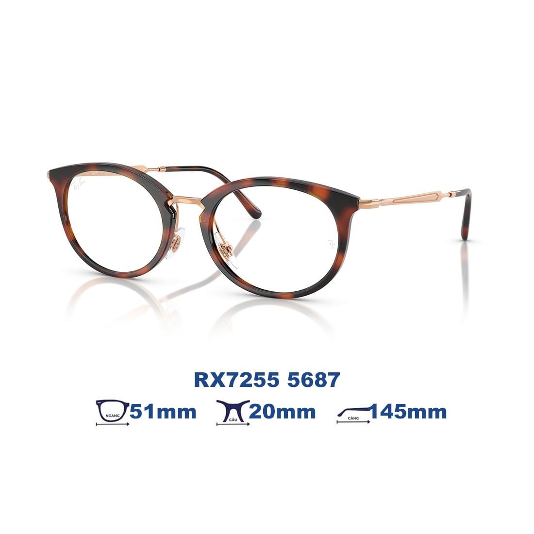  Gọng kính RAYBAN RX7255 5687 