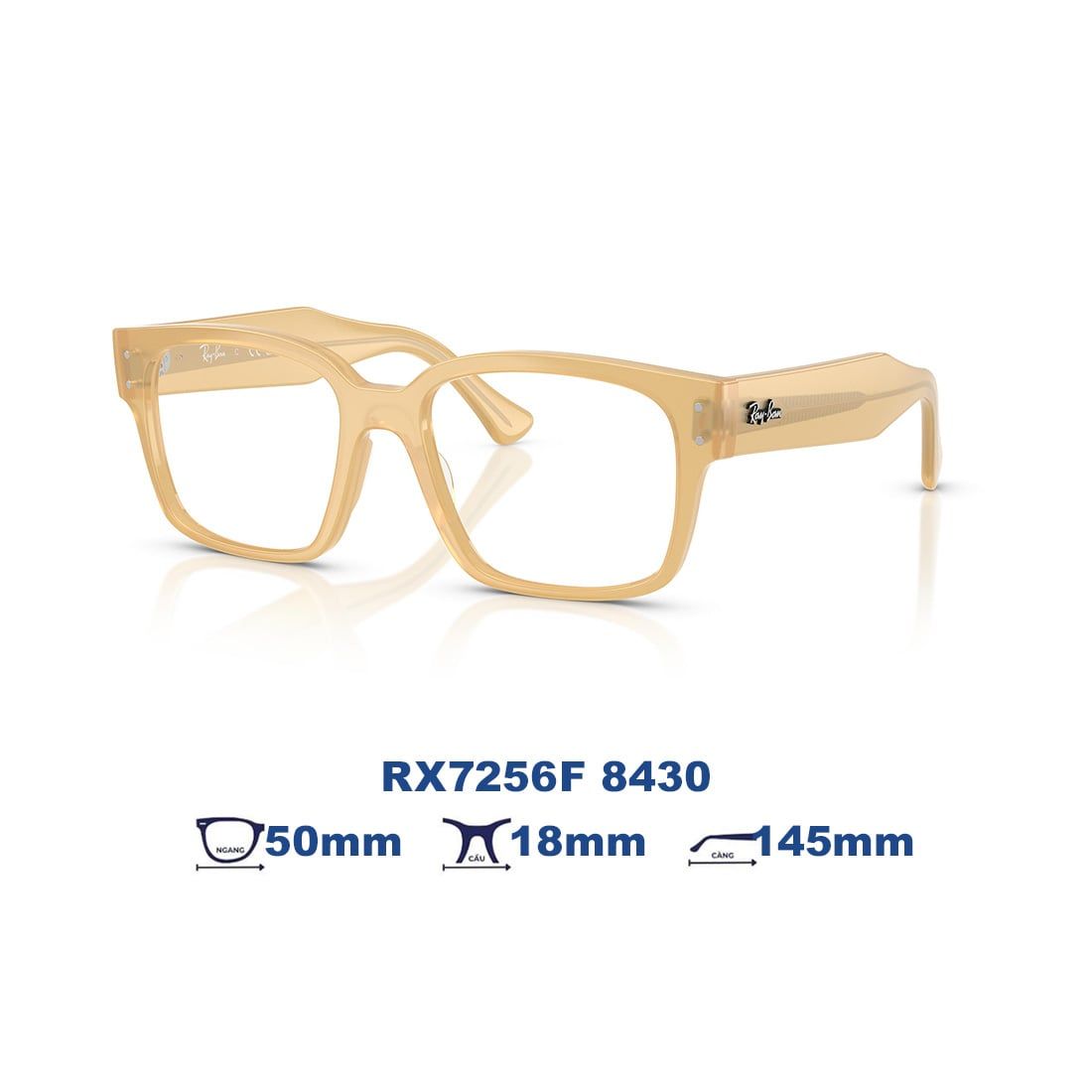  Gọng kính RAYBAN RX7256F 8430 