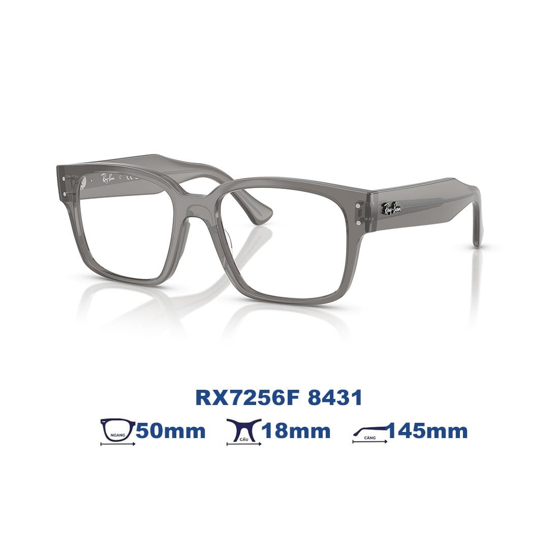  Gọng kính RAYBAN RX7256F 8431 
