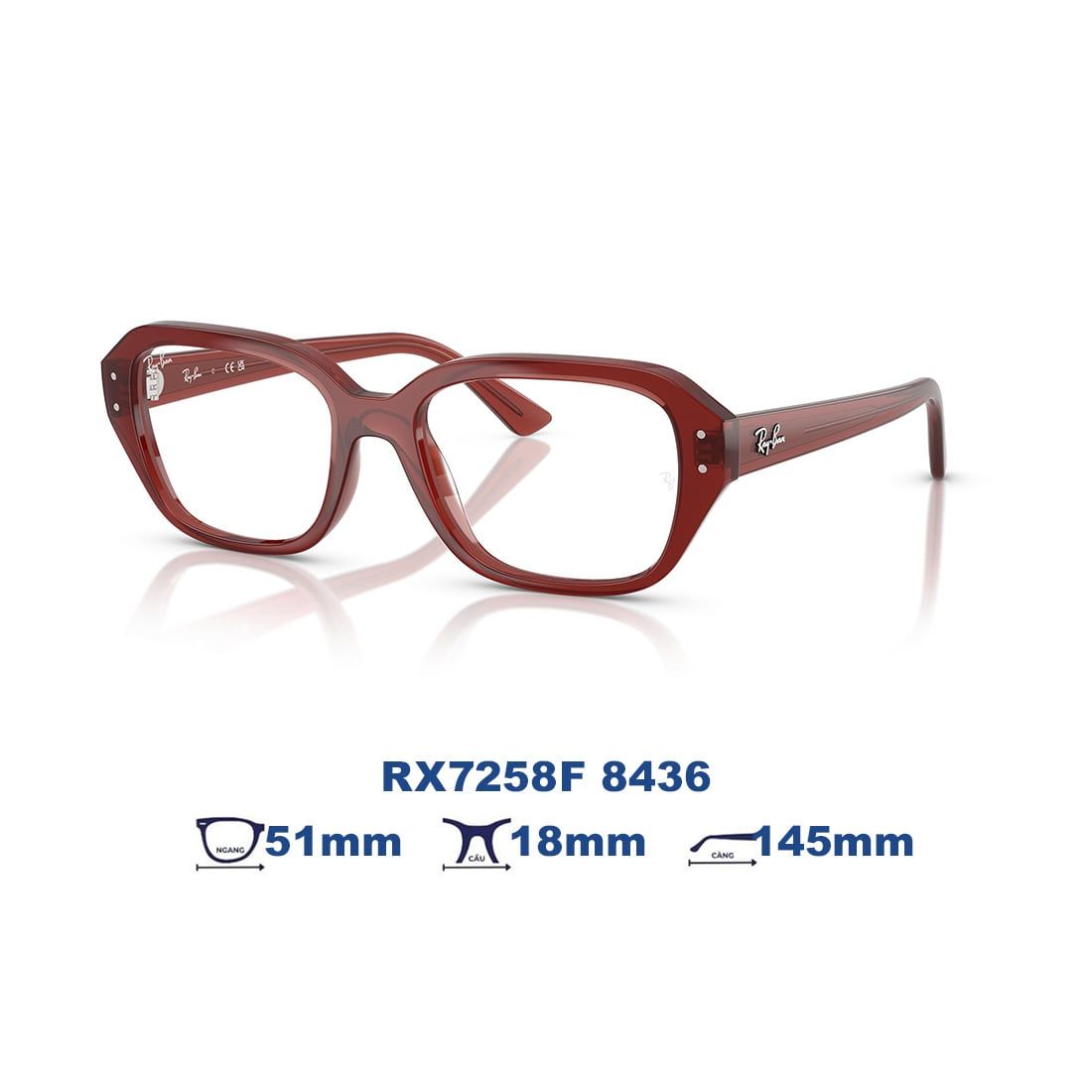  Gọng kính RAYBAN RX7258F 8436 