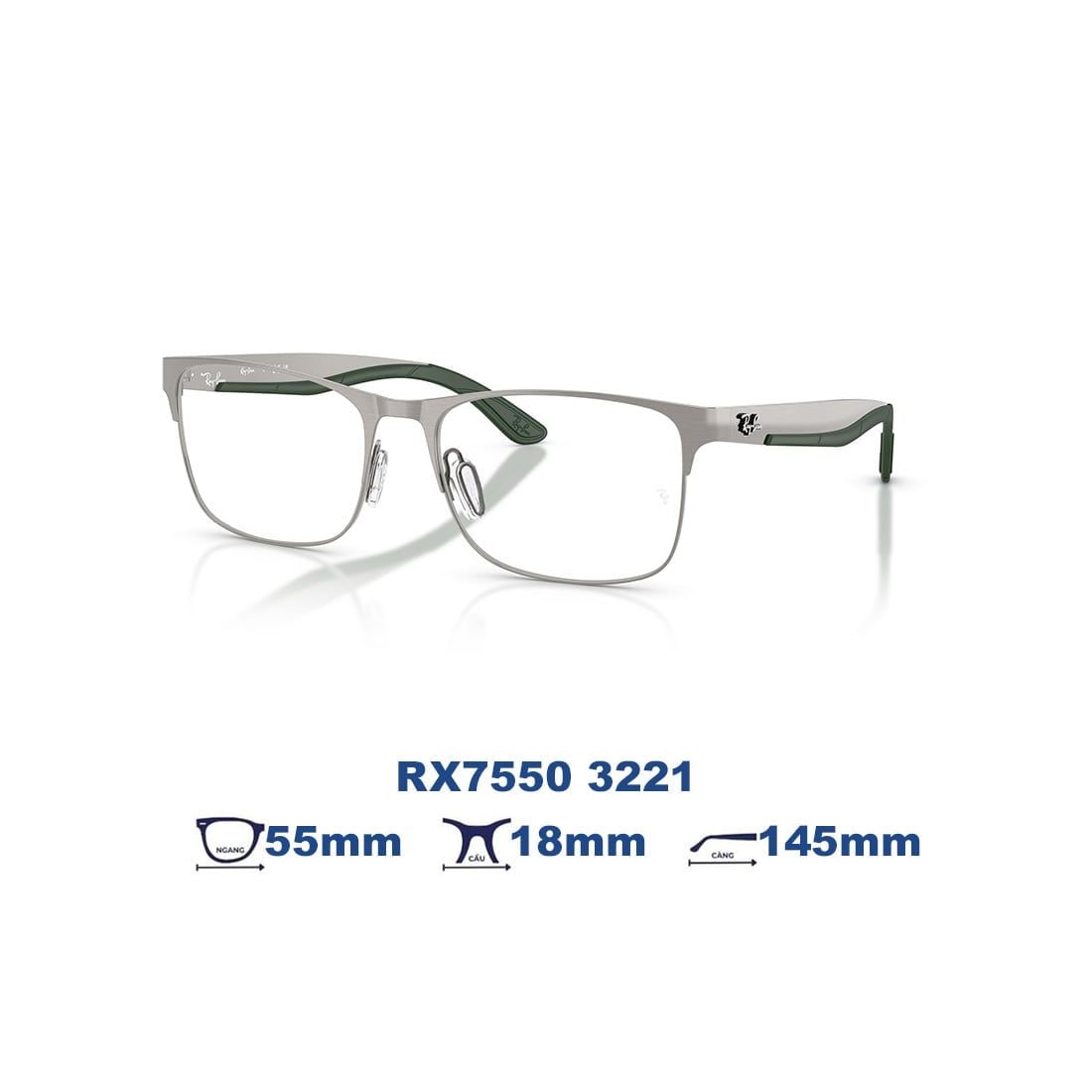 Gọng kính RAYBAN RX7550 3221 