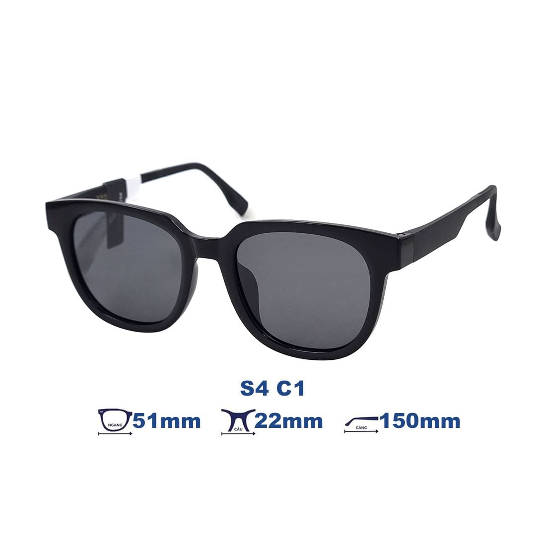 Kính mát BLACK MONSTER S4 C1
