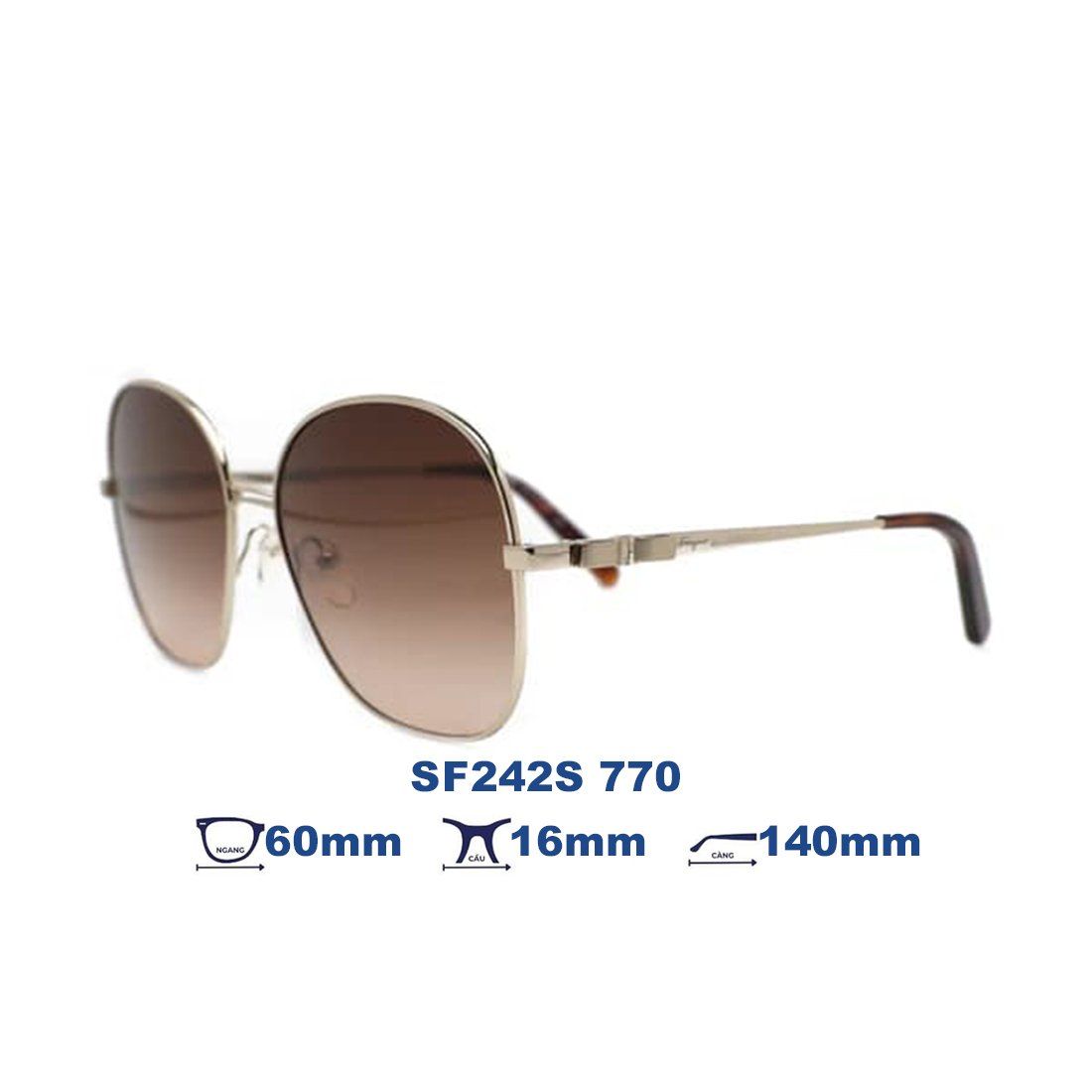Kính mát Salvatore Ferragamo SF242S 770