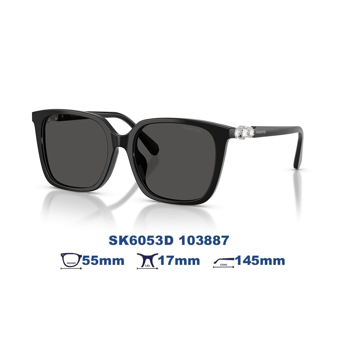  Kính mát Swarovski SK6053D 103887 