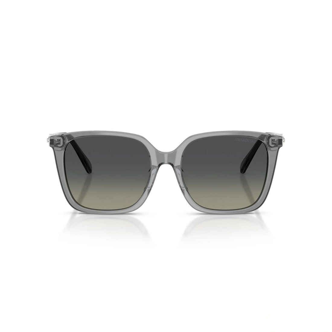  Kính mát Swarovski SK6053D 106211 