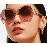  Kính mát Coach HC8410U 58947W 