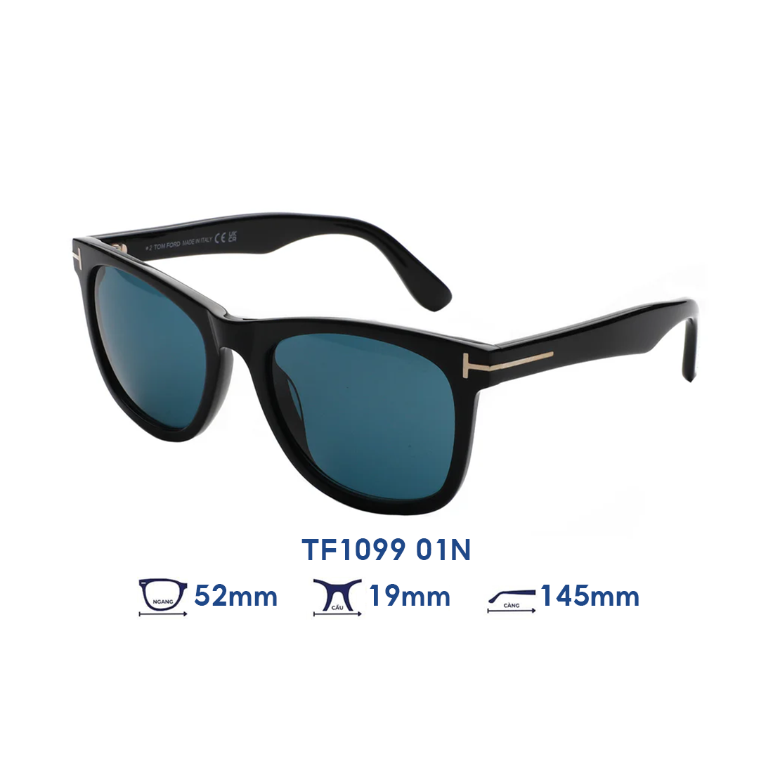  Kính mát Tom Ford TF1099 01N 
