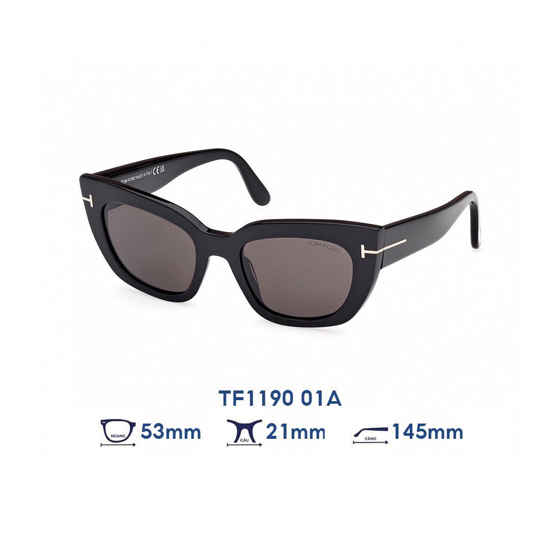  Kính mát Tom Ford TF1190 01A 