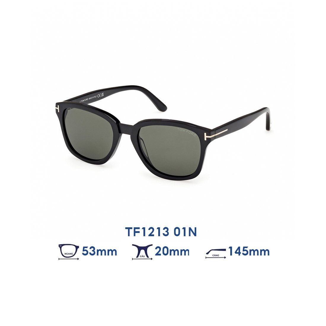  Kính mát Tom Ford TF1213 01N 