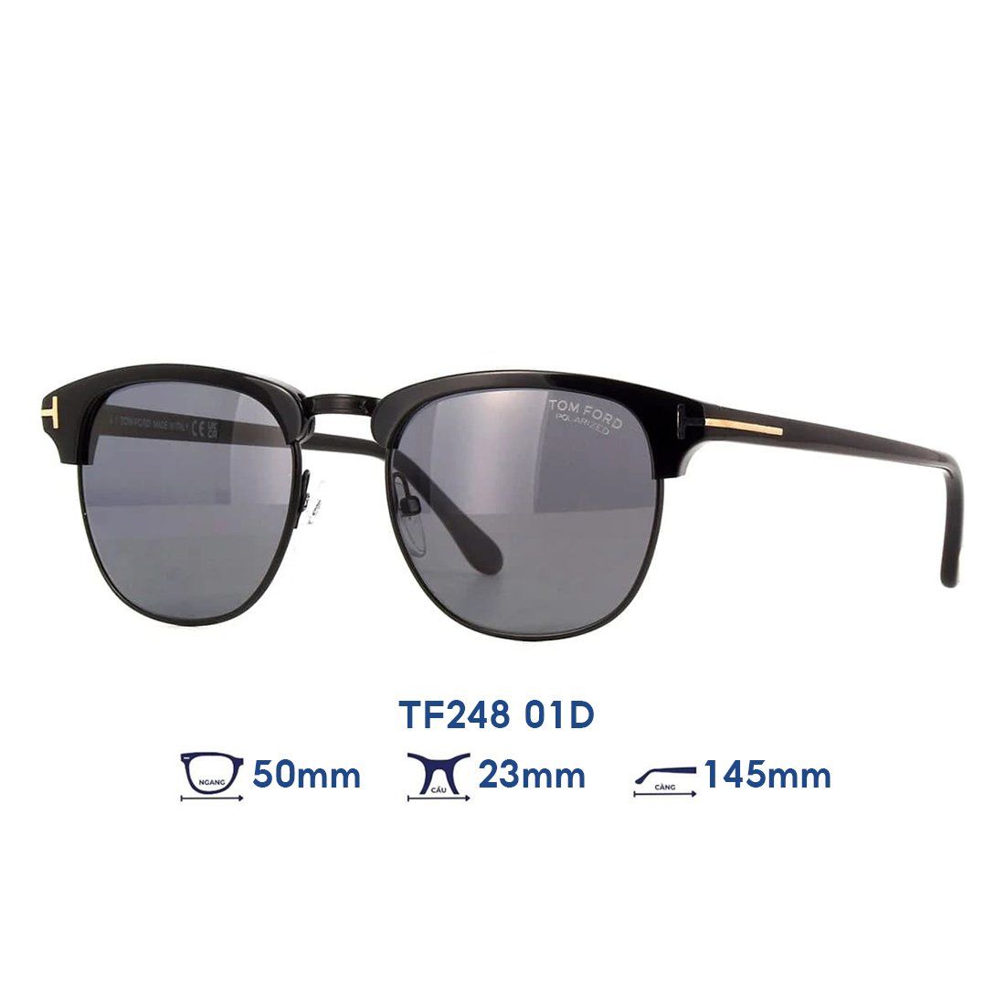  Kính mát Tom Ford TF248 01D 