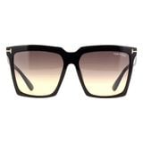  Kính mát Tom Ford TF764 01B 