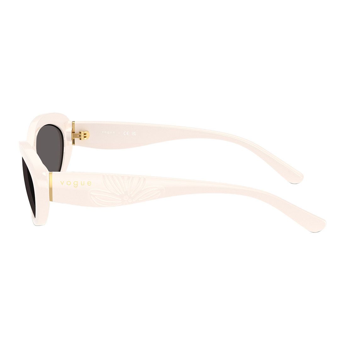  Kính mát VOGUE VO5630S 3124/87 