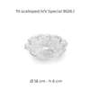toscallopedivvspecial