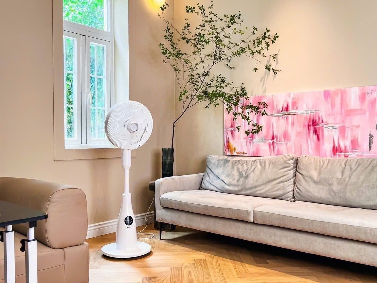 quat cay phun suong tao am cao cap de muller